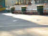 DSCF0024.JPG (66707 bytes)